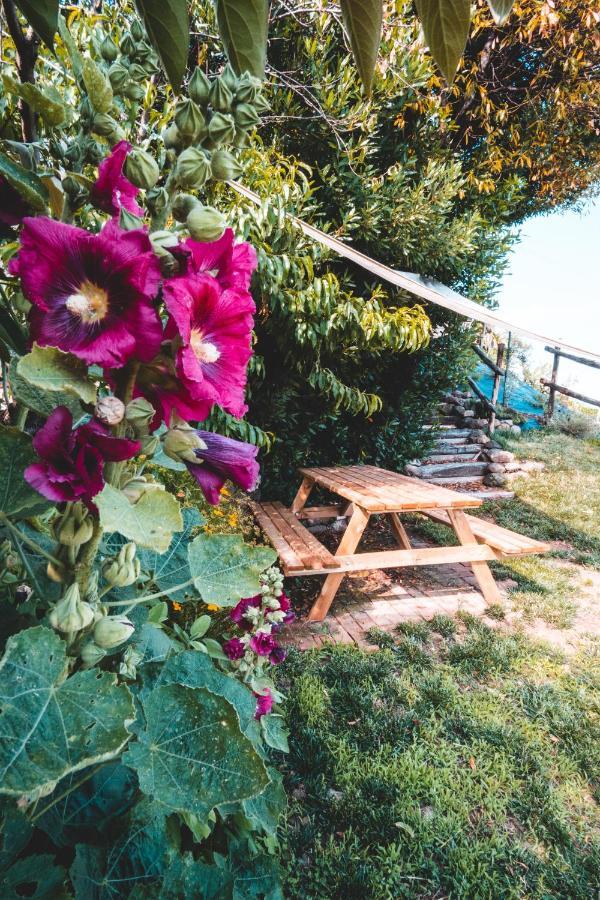 Agriturismo Dai Gobbi Fara Vicentino Exteriör bild
